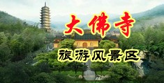 黄色操逼网站免费观看中国浙江-新昌大佛寺旅游风景区